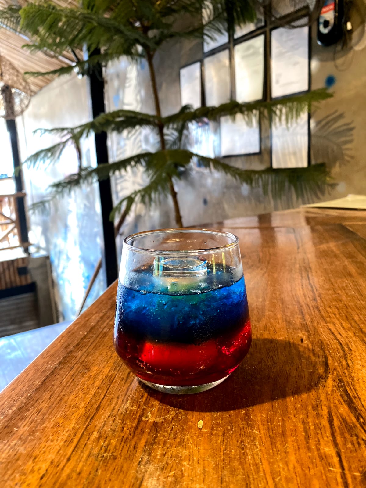 Pine Bomb